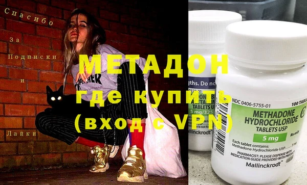 гидра Елизово