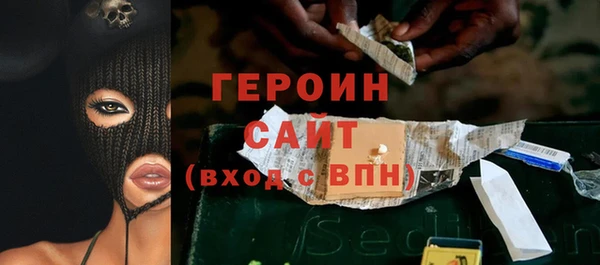 гидра Елизово