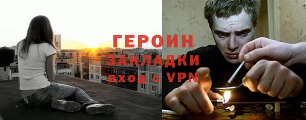 гидра Елизово