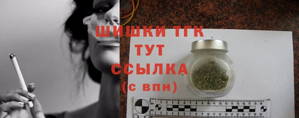 гидра Елизово