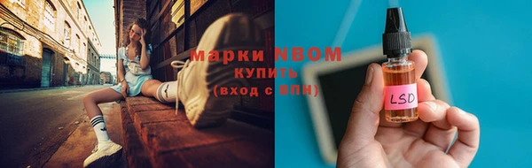 дживик Елабуга