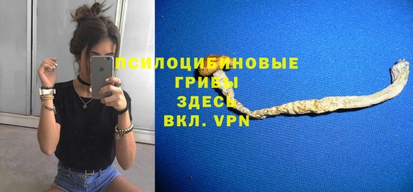 гидра Елизово