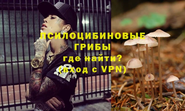 гидра Елизово