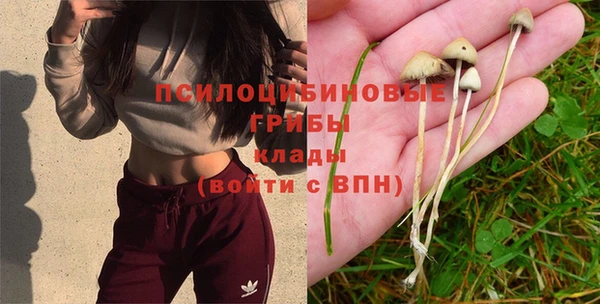 синтетический гашиш Ельня