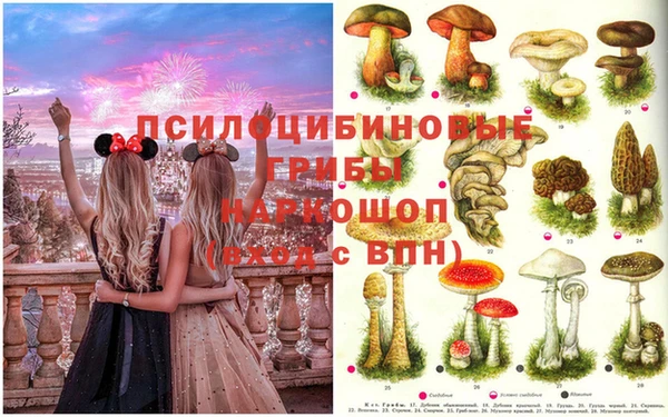 MDMA Premium VHQ Саяногорск