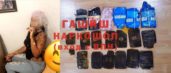 гидра Елизово