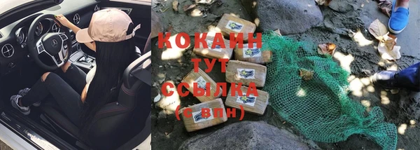 гидра Елизово