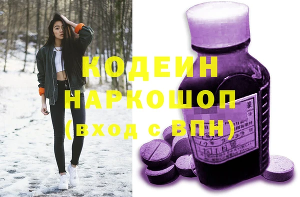 дживик Елабуга