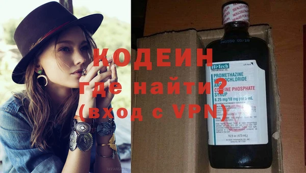 гидра Елизово