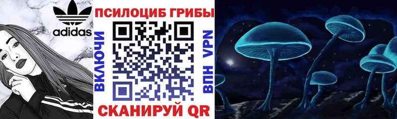где продают наркотики  mega сайт  Псилоцибиновые грибы ЛСД  Высоцк 